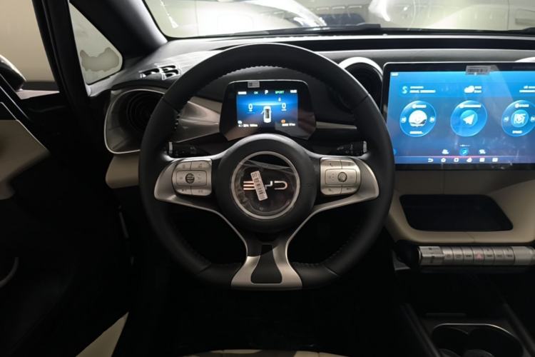 Used BYD Dolphin 2025 420km Free Edition Steering Wheel
