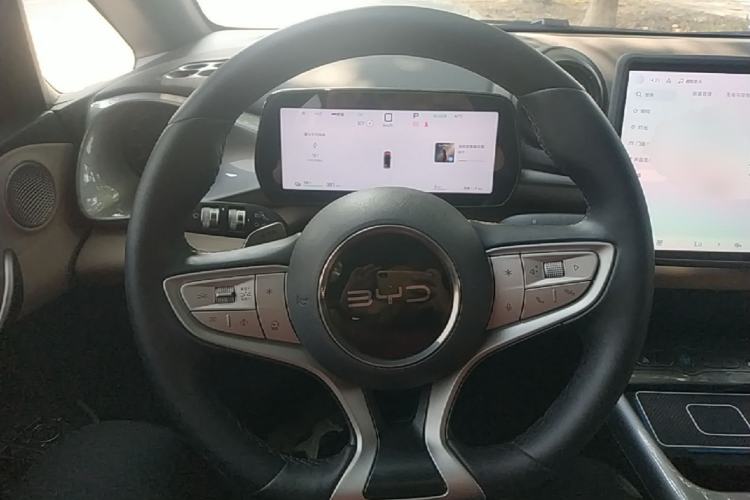 Used BYD Dolphin 2025 Smart Drive Version 420 km Freedom Edition Steering Wheel