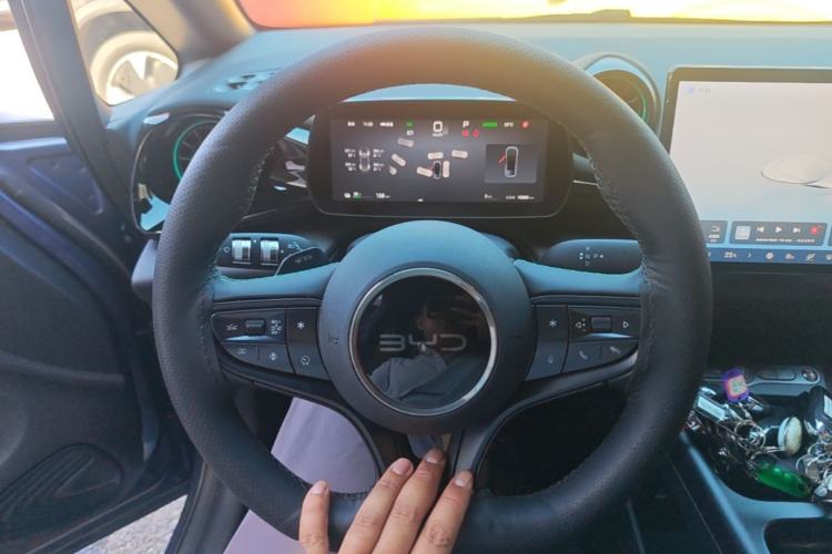 Used BYD Dolphin 2025 Smart Drive Version 420 km Freedom Edition Steering Wheel