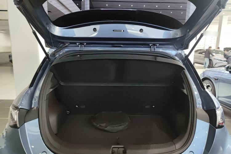 Used BYD Dolphin 2025 420km Active Version Trunk