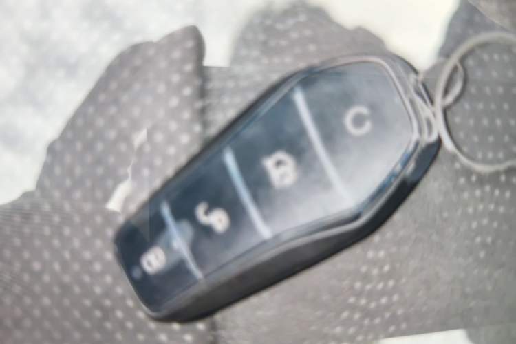 Used BYD Dolphin 2025 420km Fashion Edition Vehicle Key