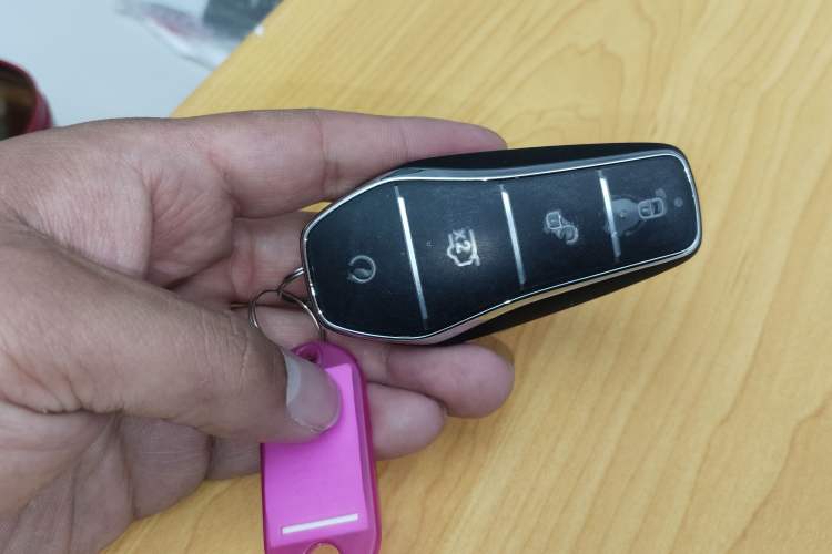 Used BYD Dolphin 2025 Intelligent Driving Version 410 km Fashion Edition Vehicle Key