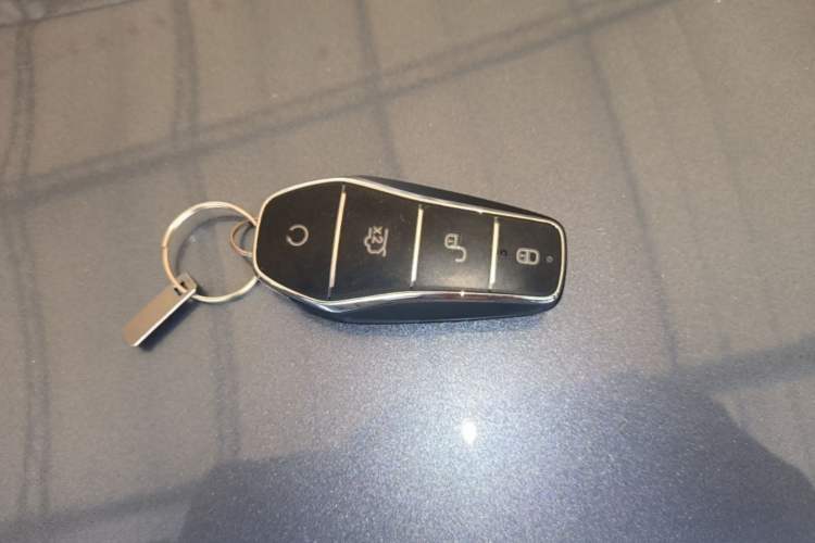 Used BYD Dolphin 2025 420km Free Edition Vehicle Key