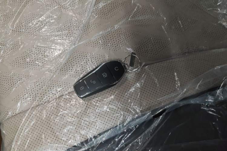 Used BYD Dolphin 2025 420km Free Edition Vehicle Key