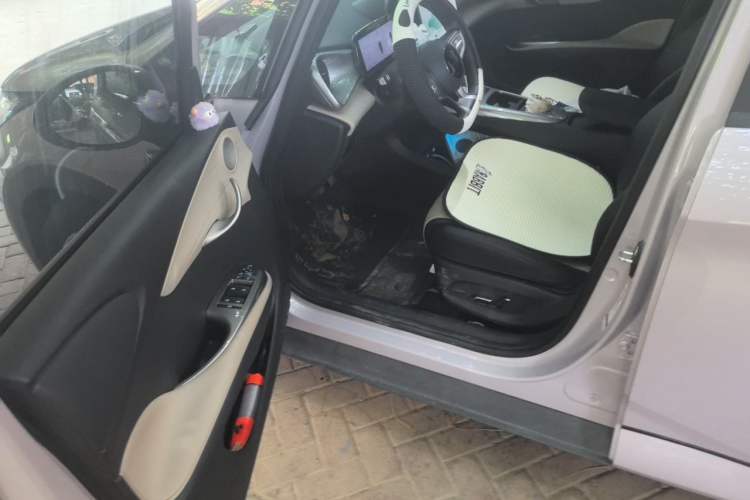 Used BYD Dolphin 2025 Smart Drive Version 420 km Freedom Edition Driver Seat