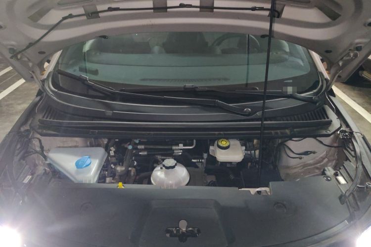 Used BYD Dolphin 2025 Intelligent Driving Version 410 km Fashion Edition Engine Bay