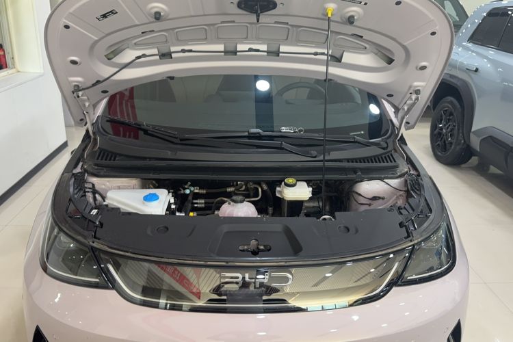 Used BYD Dolphin 2025 Intelligent Driving Version 410 km Fashion Edition Engine Bay