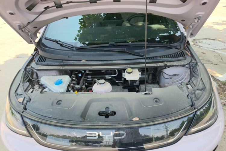 Used BYD Dolphin 2025 Intelligent Driving Version 410 km Fashion Edition Engine Bay