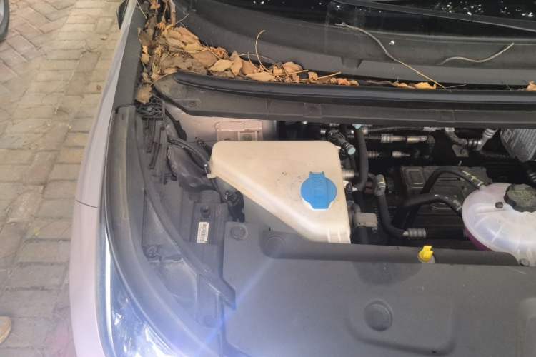 Used BYD Dolphin 2025 Smart Drive Version 420 km Freedom Edition Engine Bay Right