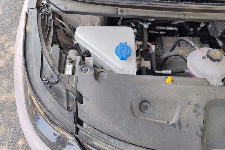 Used BYD Dolphin 2025 Intelligent Driving Version 410 km Fashion Edition Engine Bay Right