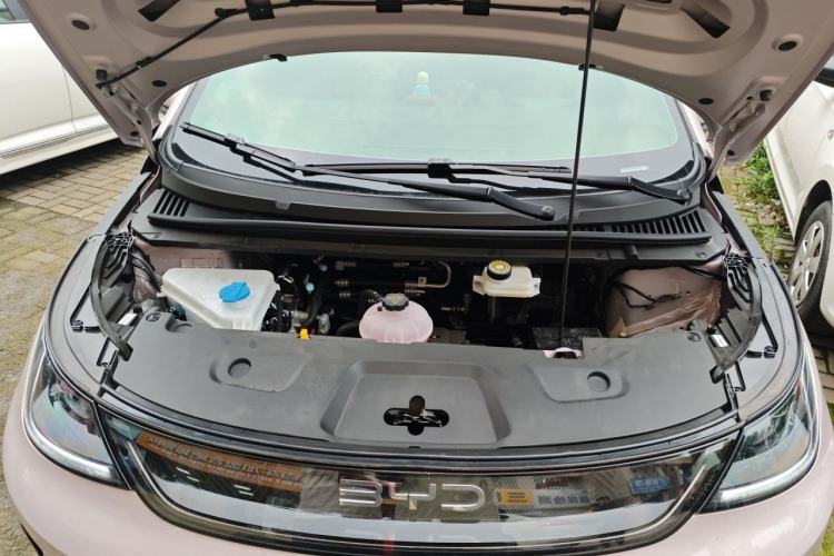 Used BYD Dolphin 2025 Smart Drive Version 420 km Freedom Edition Engine Bay