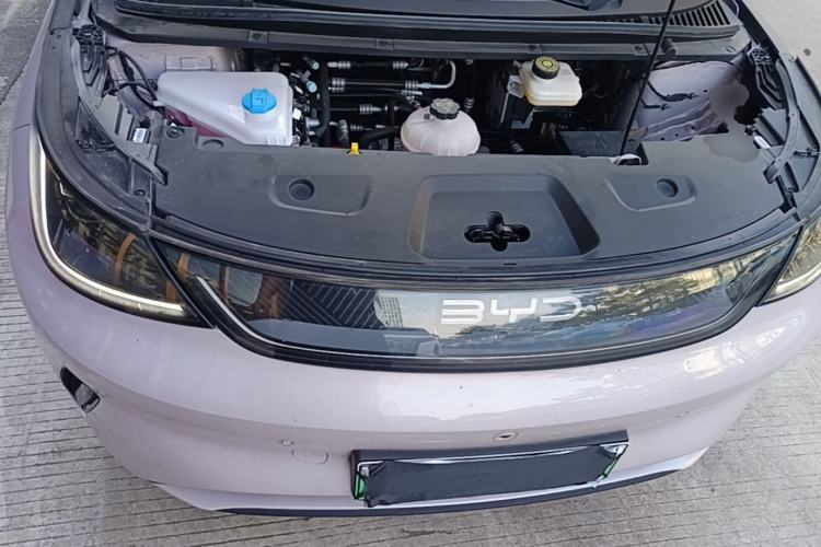 Used BYD Dolphin 2025 Intelligent Driving Version 410 km Fashion Edition Engine Bay