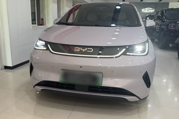 Used BYD Dolphin 2025 Intelligent Driving Version 410 km Fashion Edition Exterior 2