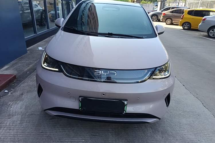 Used BYD Dolphin 2025 Intelligent Driving Version 410 km Fashion Edition Front