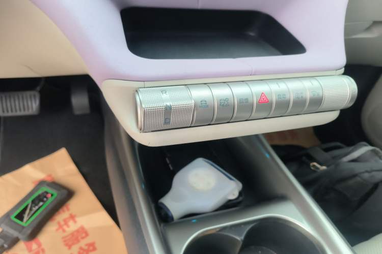 Used BYD Dolphin 2025 420km Free Edition Gear Lever