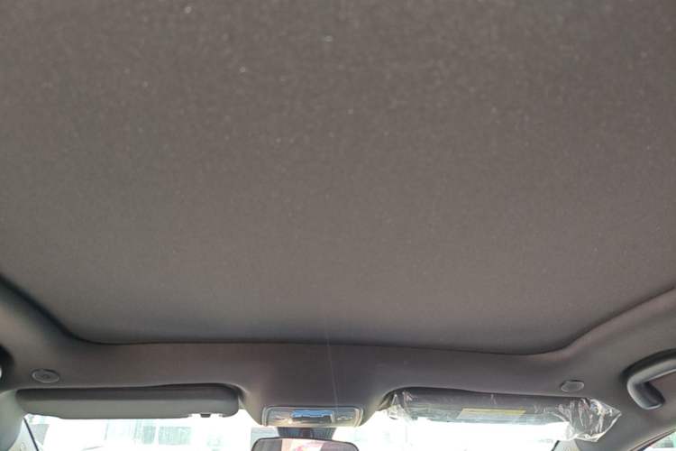 Used BYD Dolphin 2025 420km Fashion Edition Headliner
