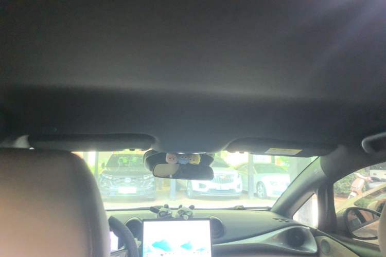 Used BYD Dolphin 2025 Smart Drive Version 420 km Freedom Edition Headliner