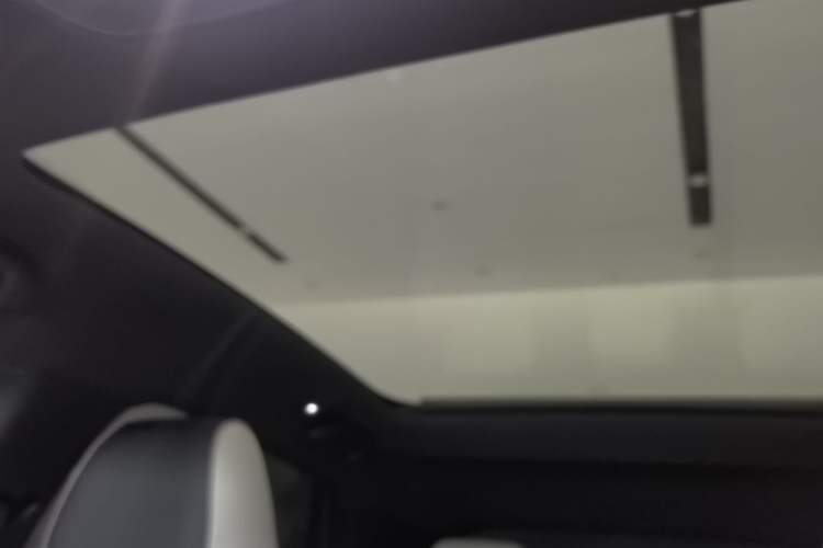 Used BYD Dolphin 2025 520km Range Knight Edition Headliner