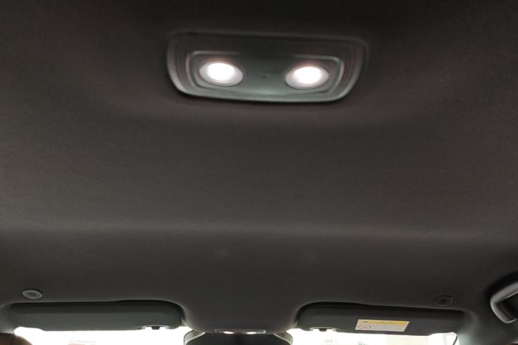 Used BYD Dolphin 2025 Smart Drive Version 420 km Freedom Edition Headliner