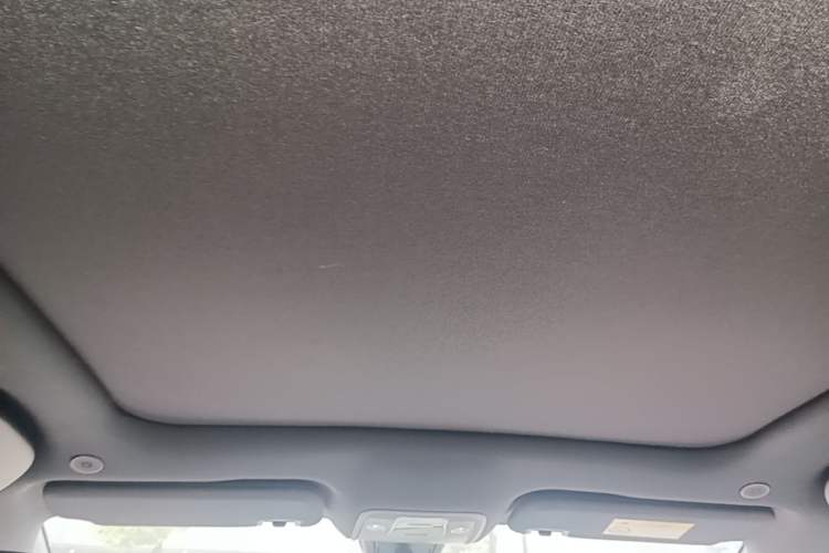 Used BYD Dolphin 2025 420km Fashion Edition Headliner