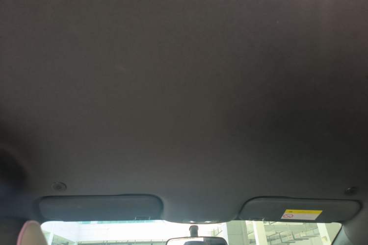 Used BYD Dolphin 2025 420km Free Edition Headliner