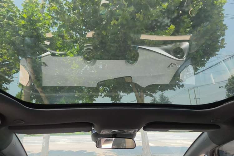 Used BYD Dolphin 2025 Intelligent Driving Version 410 km Fashion Edition Headliner