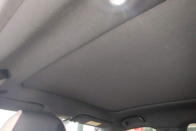 Used BYD Dolphin 2025 420km Fashion Edition Headliner