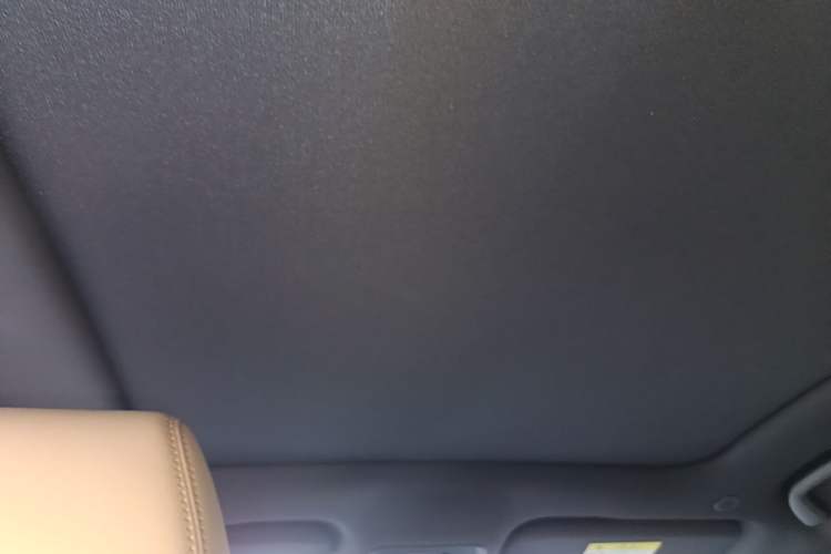 Used BYD Dolphin 2025 Intelligent Driving Version 410 km Fashion Edition Headliner