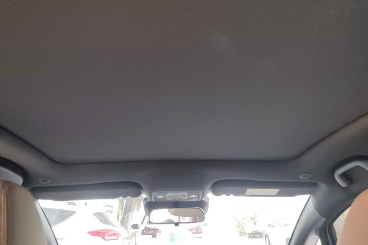 Used BYD Dolphin 2025 Intelligent Driving Version 410 km Fashion Edition Headliner