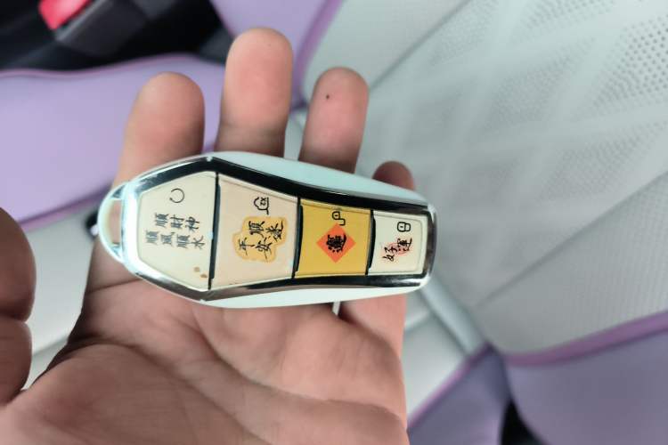 Used BYD Dolphin 2025 420km Free Edition Interior 1