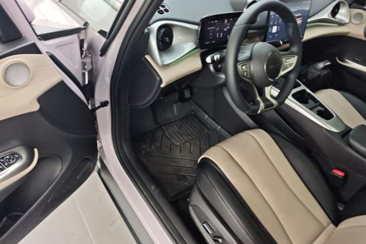 Used BYD Dolphin 2025 Intelligent Driving Version 410 km Fashion Edition Interior 6
