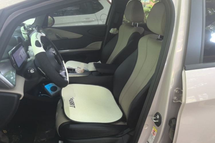 Used BYD Dolphin 2025 Smart Drive Version 420 km Freedom Edition Left Front Seat