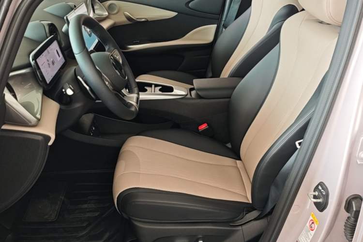 Used BYD Dolphin 2025 Smart Drive Version 420 km Freedom Edition Left Front Seat