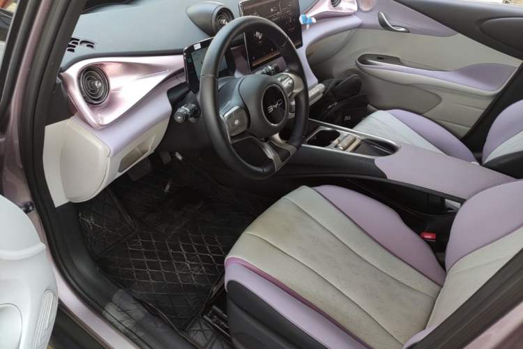 Used BYD Dolphin 2025 520km Range Knight Edition Left Front Seat