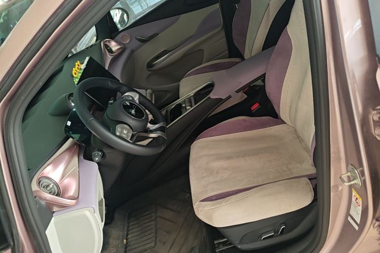 Used BYD Dolphin 2025 420km Fashion Edition Left Front Seat