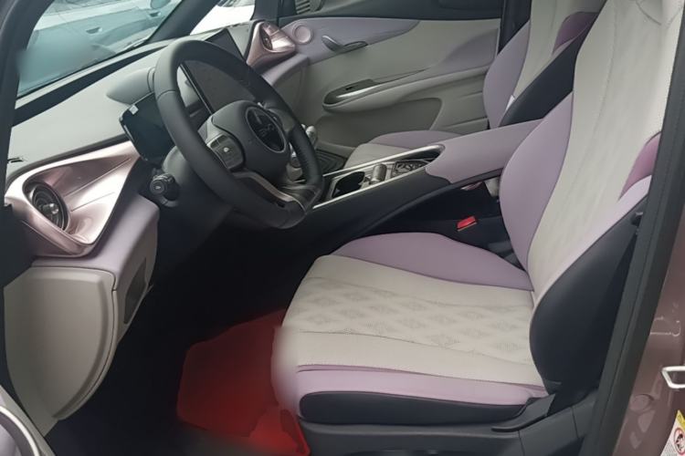 Used BYD Dolphin 2025 420km Fashion Edition Left Front Seat