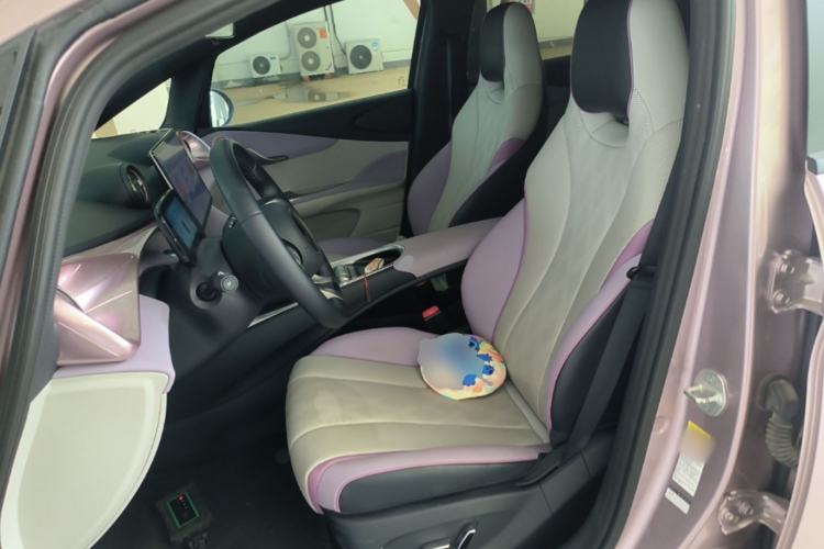 Used BYD Dolphin 2025 420km Free Edition Left Front Seat