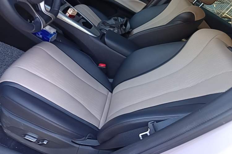 Used BYD Dolphin 2025 Intelligent Driving Version 410 km Fashion Edition Left Front Seat