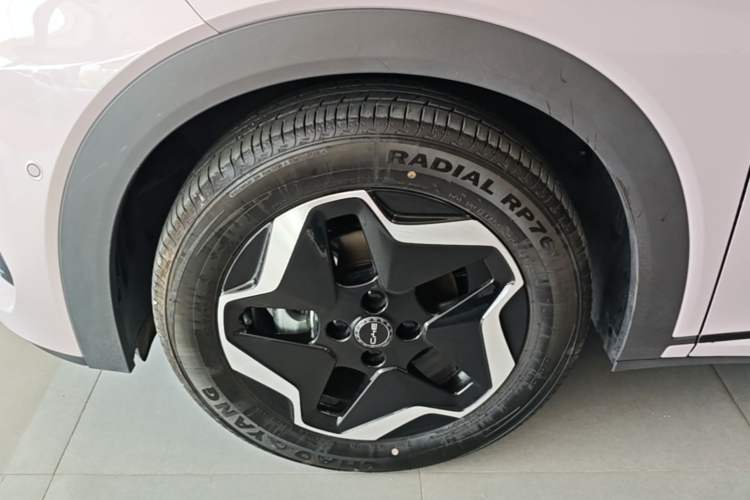 Used BYD Dolphin 2025 Smart Drive Version 420 km Freedom Edition Left Front Wheel Hub