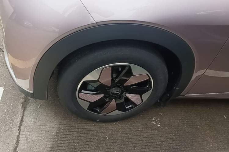 Used BYD Dolphin 2025 420km Fashion Edition Left Front Wheel Hub