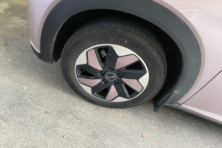 Used BYD Dolphin 2025 420km Free Edition Left Front Wheel Hub