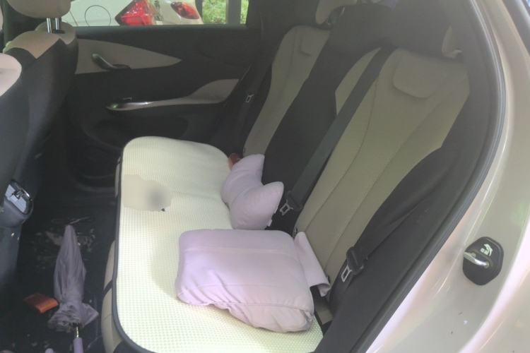 Used BYD Dolphin 2025 Smart Drive Version 420 km Freedom Edition Left Rear Seat