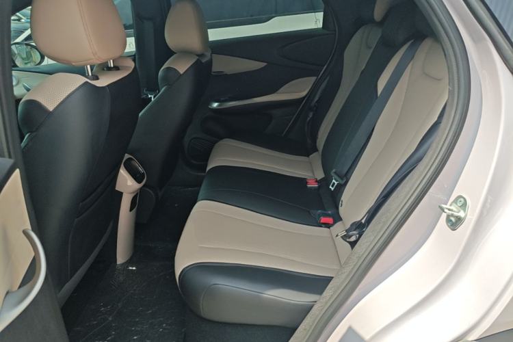 Used BYD Dolphin 2025 Smart Drive Version 420 km Freedom Edition Left Rear Seat