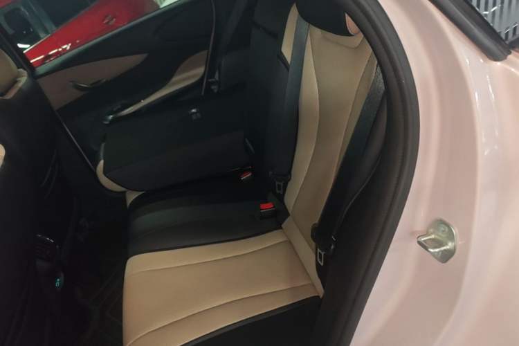 Used BYD Dolphin 2025 Intelligent Driving Version 410 km Fashion Edition Left Rear Seat