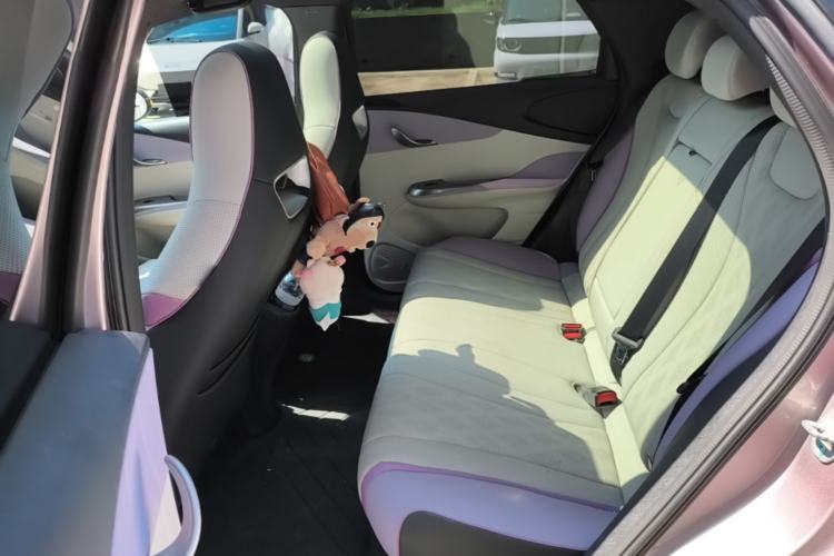 Used BYD Dolphin 2025 420km Fashion Edition Left Rear Seat