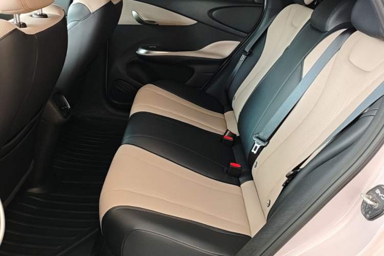 Used BYD Dolphin 2025 Smart Drive Version 420 km Freedom Edition Left Rear Seat