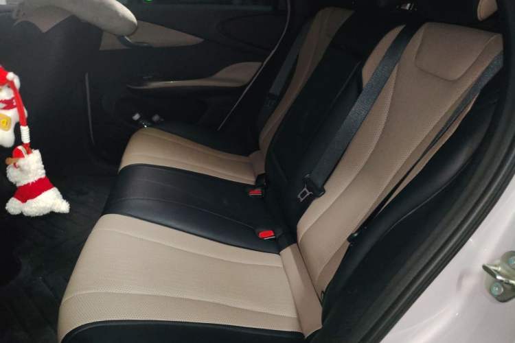 Used BYD Dolphin 2025 Intelligent Driving Version 410 km Fashion Edition Left Rear Seat