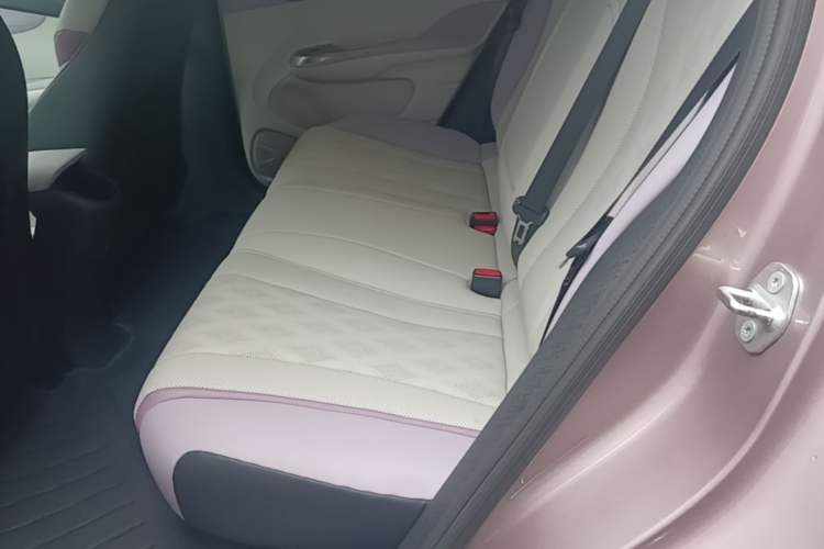 Used BYD Dolphin 2025 420km Fashion Edition Left Rear Seat