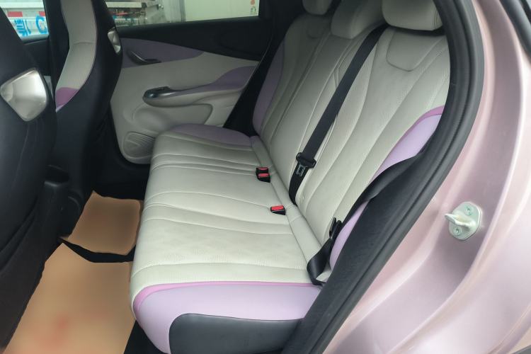 Used BYD Dolphin 2025 420km Free Edition Left Rear Seat