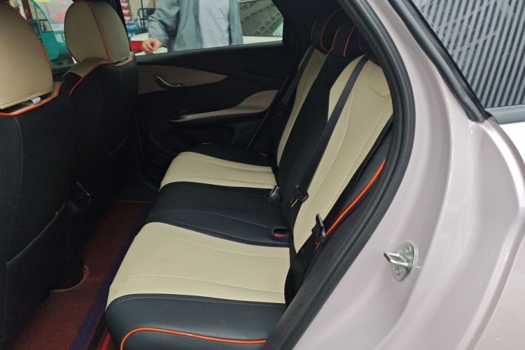 Used BYD Dolphin 2025 Smart Drive Version 420 km Freedom Edition Left Rear Seat